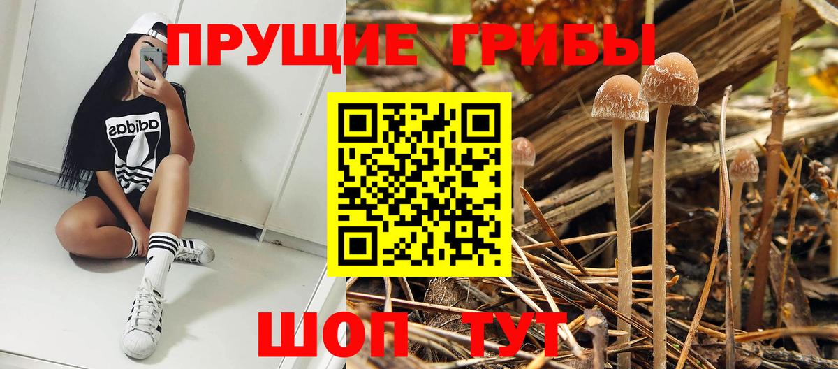 Псилоцибиновые грибы Magic Shrooms  Вход с VPN  Мытищи  Галлюциногенные грибы GOLDEN TEACHER 